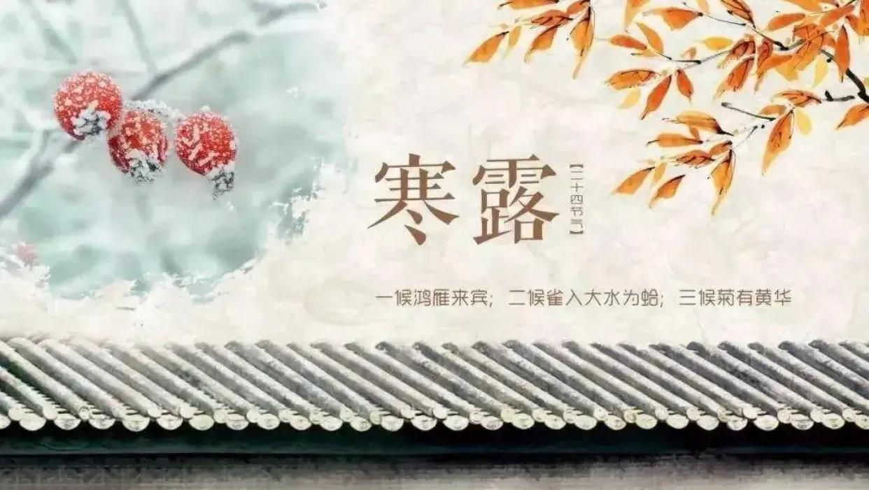 寒露节气的文案句子（关于寒露的唯美短句）