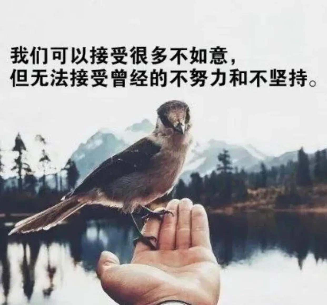 努力拼搏的励志文案（激励自己的文案句子）