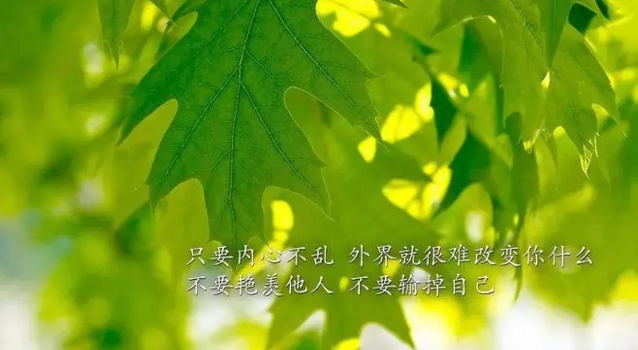 温柔且励志的文案（高质量的励志短句）