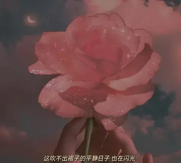 特别小众的文案短句（让人惊艳的小众文案）