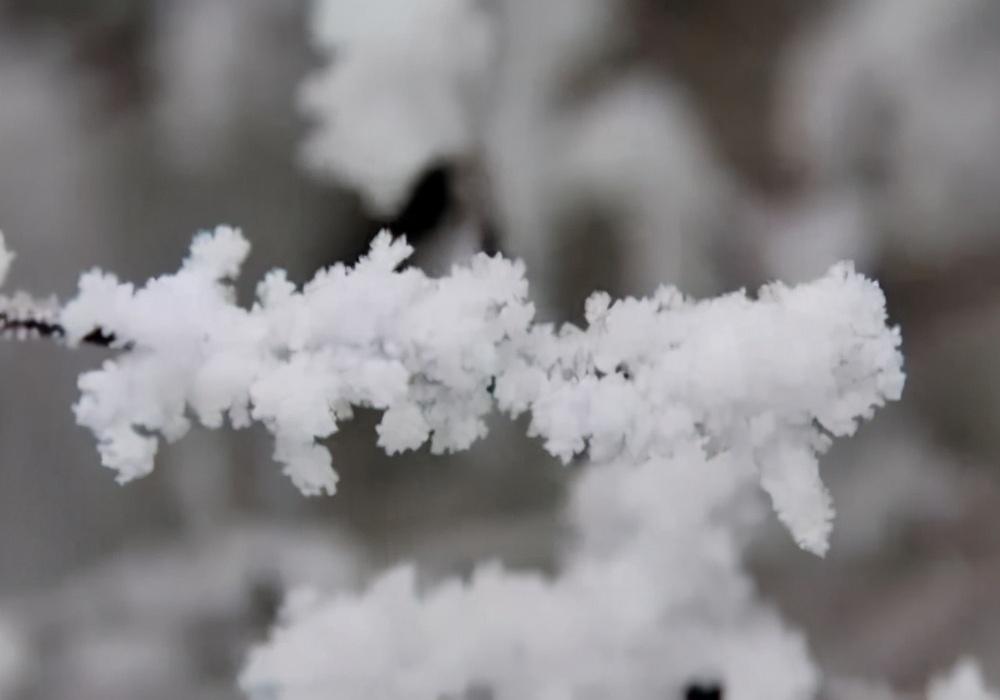 关于咏雪的100首古诗绝句（著名的雪景诗）