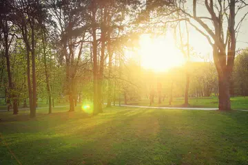 《最珍贵的回忆》（关于珍贵记忆的作文精选）