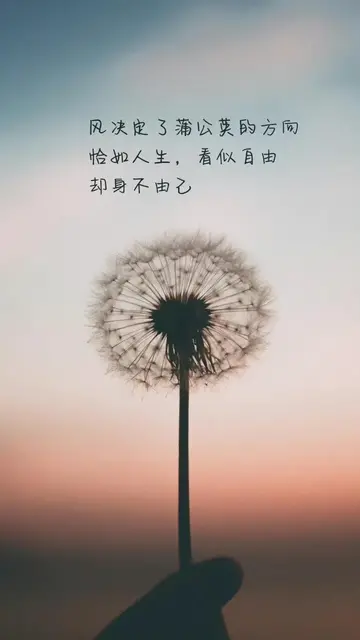 干净治愈的绝美短句（特别暖心的治愈文案）