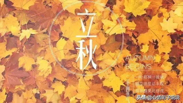 秋天祝福语温馨句子（形容秋天祝福优美句子）