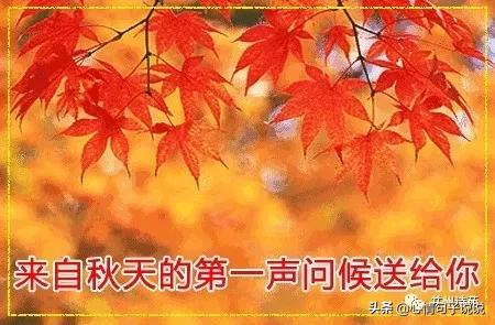 秋天走心祝福精辟句子（立秋时节愿你收获累累）