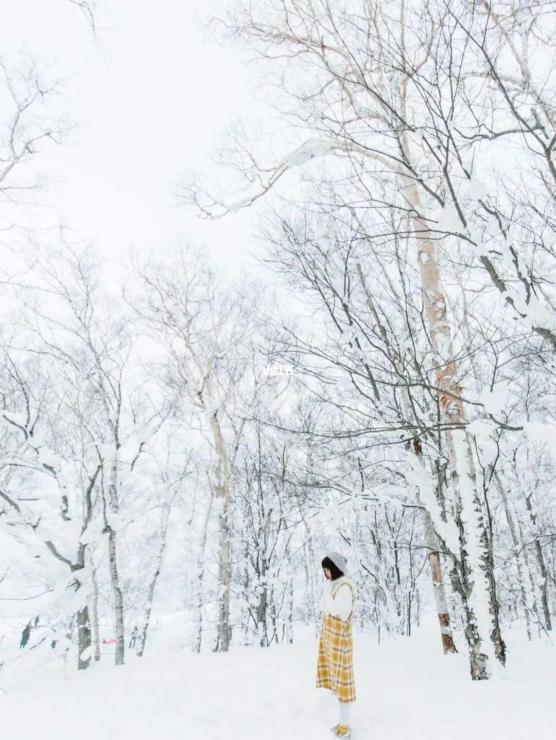 写雪景的唯美简短诗词（关于雪的古诗句）