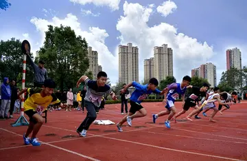 《努力才突破成功》（关于努力汗水的作文精选）