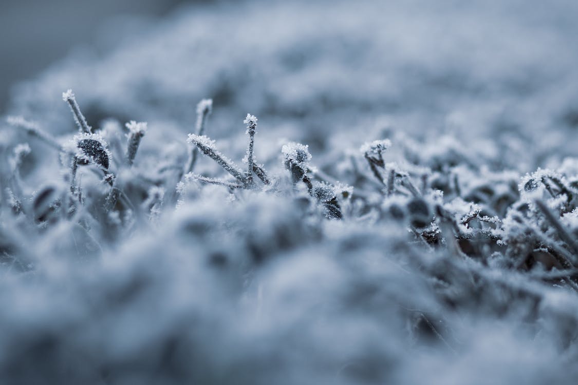 适合雪天浪漫文案（描写雪天的优美句子）