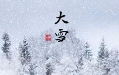 有关大雪节气的祝福寄语（大雪关心问候句子）