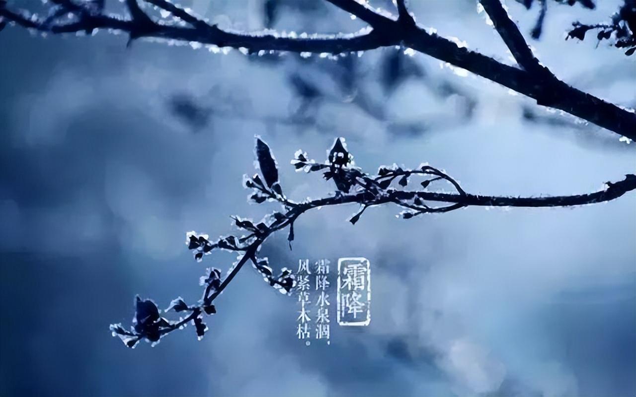 霜降时节祝福大全（霜降浪漫祝福语句子）