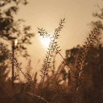 关于无风格的文案（特别高级的无风格句子）