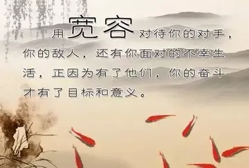 我多了一份宽容作文600字（大观的敬仰）