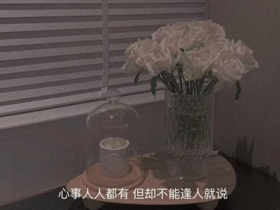 瞬间emo的文案句子（表达emo的伤感句子）