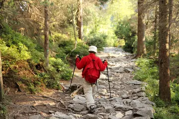 《难忘那次登山行》（关于难忘登山的作文精选）