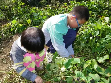 有关难忘之人的作文精选范例（《难忘的大哥哥》）