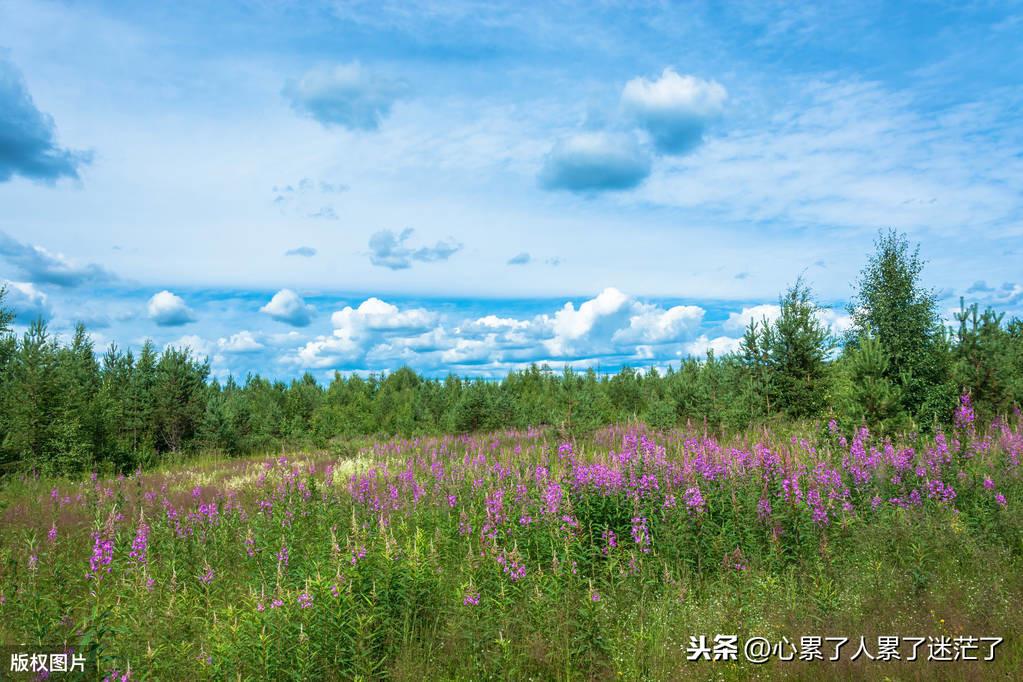 心灵鸡汤人生感悟说说（鼓励孩子的励志句子）