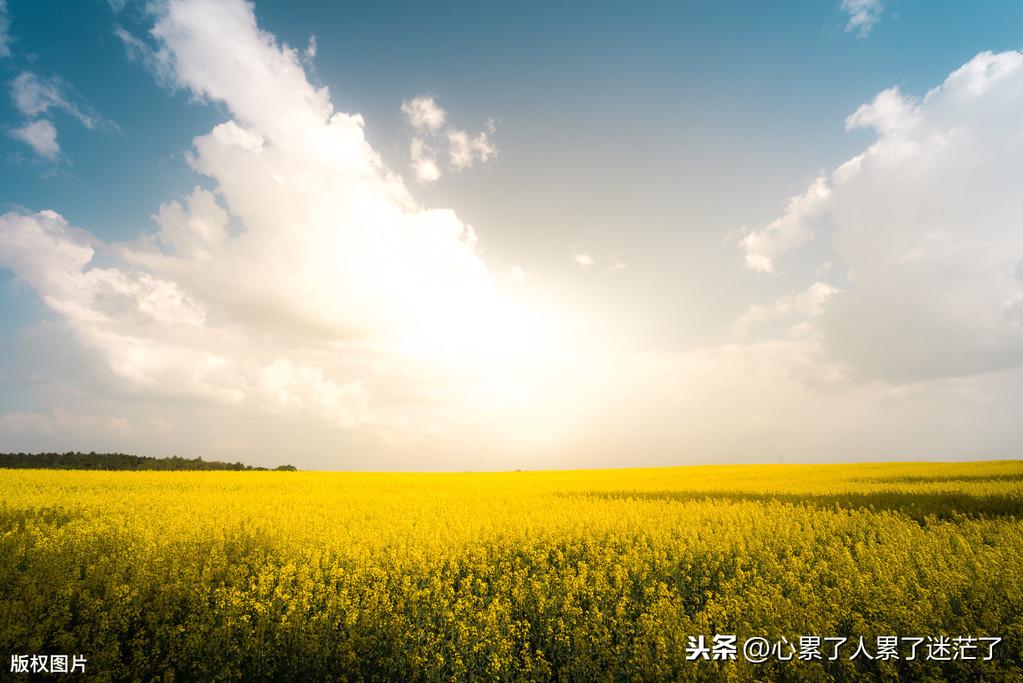 心灵鸡汤人生感悟说说（鼓励孩子的励志句子）