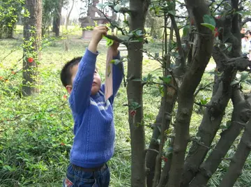 《多么难忘的旅游》（关于难忘旅行的作文精选）