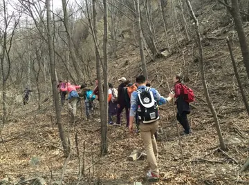 《一次难忘的爬山》（关于难忘登顶的作文精选）