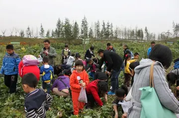 有关难忘往事的作文精选范例（《一件难忘的趣事》）