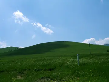 《草原的美丽风景》（关于广阔风景的作文精选）