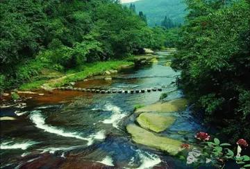 有关成长风景的作文精选范例（《成长路上的风景》）