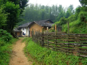 《那些错过的风景》（关于风景错过的作文精选）