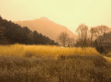 《大自然的风景》（关于自然景观的作文精选）