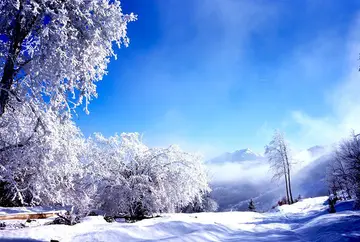 有关冬天风景的作文精选范例（《冬日的雪，美丽景象》）