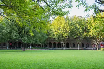 有关回家风景的作文精选范例（《放学路上的风景》）