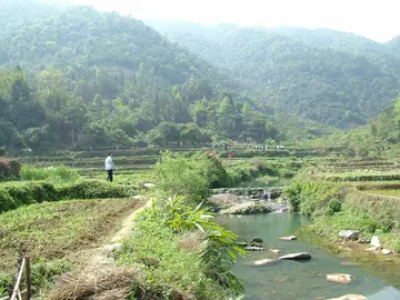 有关家乡风景的作文精选范例（《故乡的靓丽风景》）