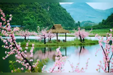 有关内心风景的作文精选范例（《触动心灵的风景》）