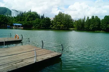 有关亮丽风景的作文精选范例（《记一处美丽的风景》）