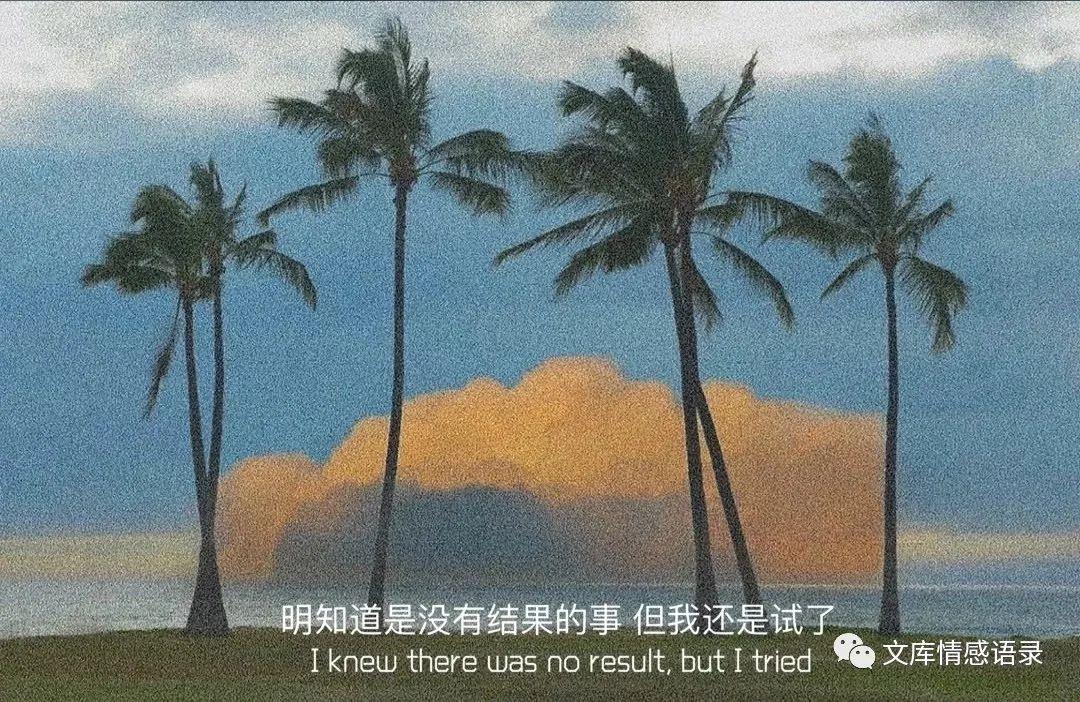 平复烦躁心情的句子（表达自己心情平静的短句）