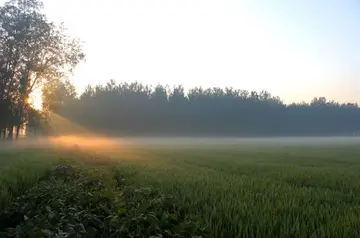 《人间处处是风景》（关于眼底景色的作文精选）