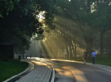 《人间处处是风景》（关于眼底景色的作文精选）