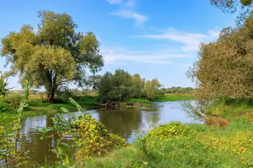 《人生处处有风景》（关于人生美景的作文精选）