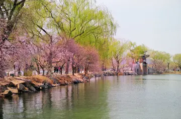 有关生活风景的作文精选范例（《生活处处有风景》）