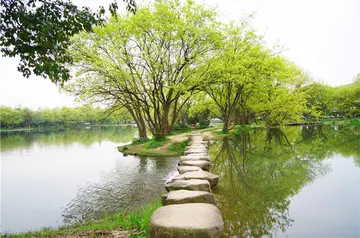 有关永恒风景的作文精选范例（《生命向上即风景》）