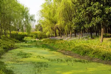 《生命本是风景》（关于命中美景的作文精选）