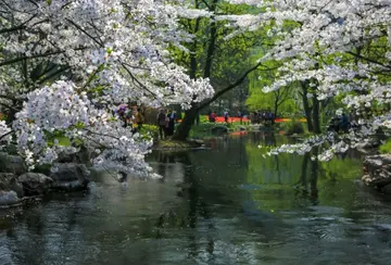 有关快乐风景的作文精选范例（《熟悉的地方也有风景》）