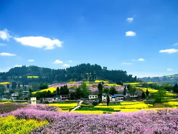 有关迷人风景的作文精选范例（《美丽的乡村风景》）