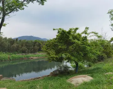 有关心里风景的作文精选范例（《留在心里中风景》）