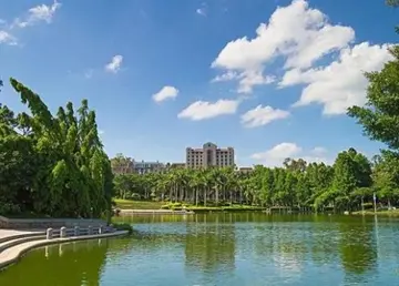 有关一处风景的作文精选范例（《校园里的秀丽风景》）