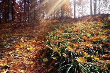 藏在心底的温暖600字作文（涌起一丝感动）