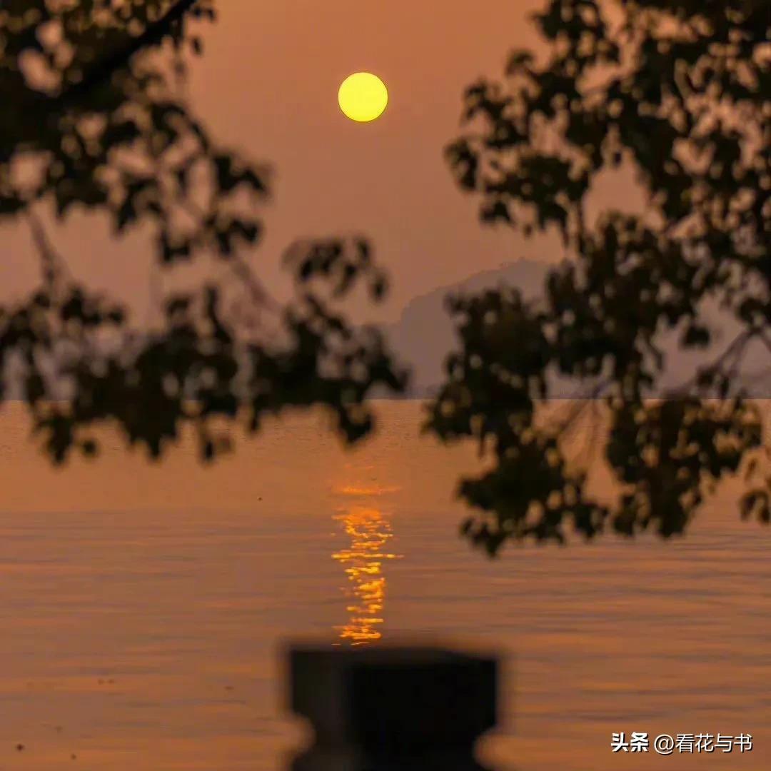 重阳节的感人文案（重阳节祝福老人的话语）