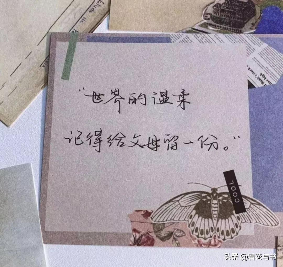 重阳节的感人文案（重阳节祝福老人的话语）