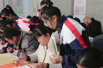 有关争取表扬的作文精选范例（《我获得了表扬》）