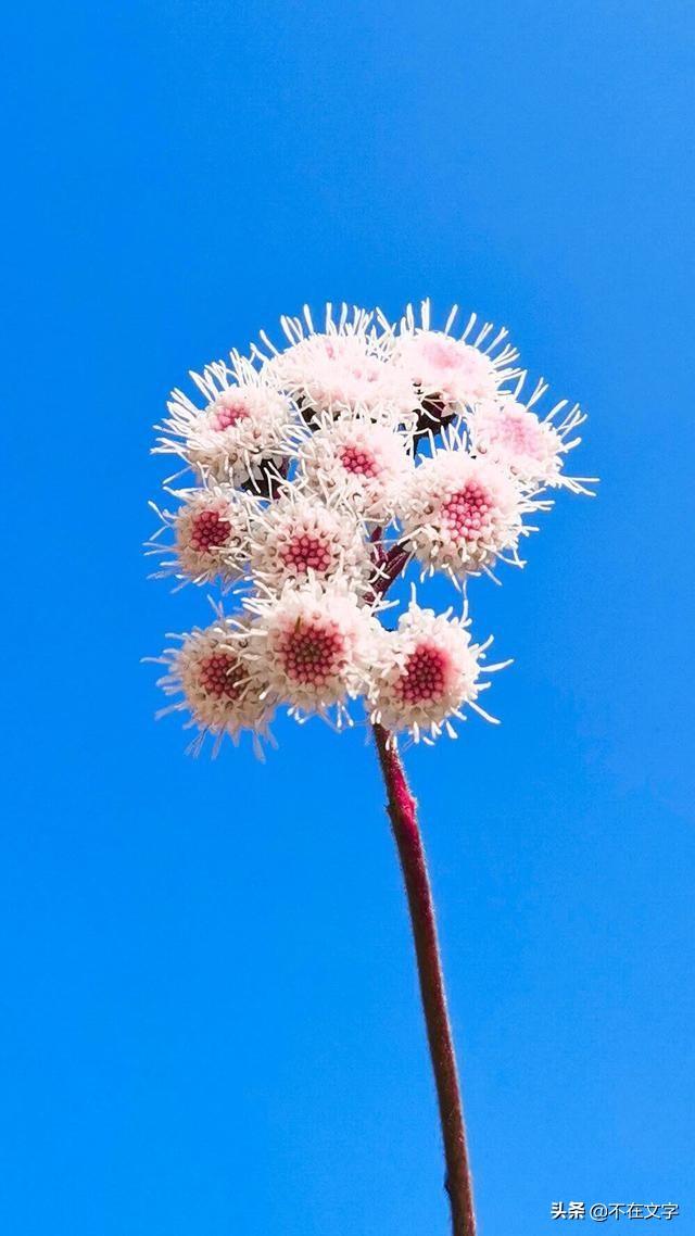 句句走心的励志文案（特别走心的励志短句）