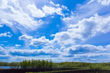 适合夏天的文艺短句（形容夏天的简短句子）